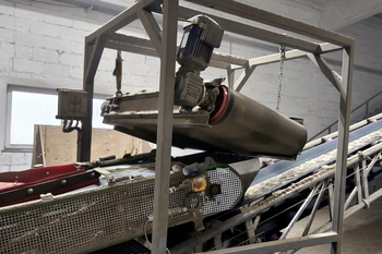 Überbandmagnetabscheider DND-AC M3 F PANTHER - Zerkleinerung von Holzpaletten