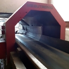 Tunneldetektor für die Holzindustrie METRON 05 CO